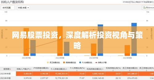 網(wǎng)易股票投資，深度解析投資視角與策略