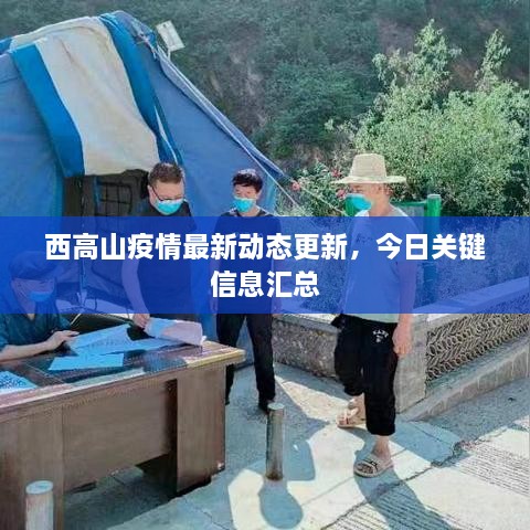 西高山疫情最新動態(tài)更新，今日關鍵信息匯總