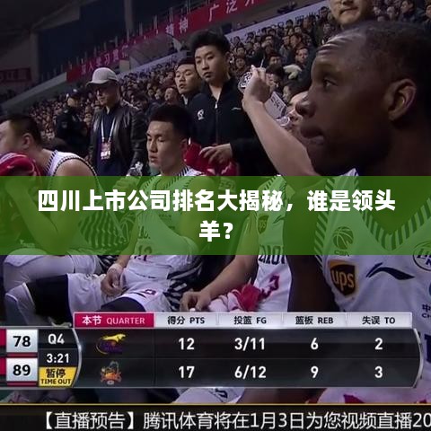 四川上市公司排名大揭秘，誰是領(lǐng)頭羊？