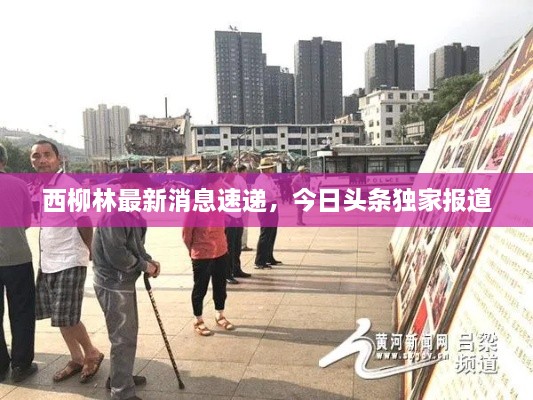 西柳林最新消息速遞，今日頭條獨(dú)家報(bào)道