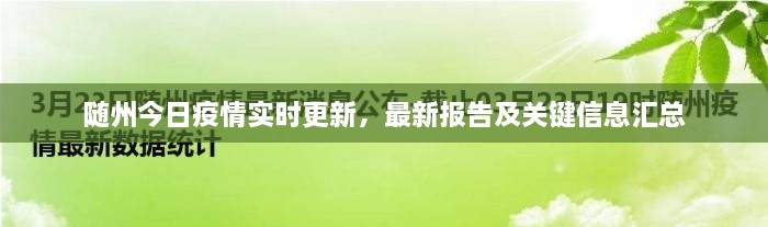 隨州今日疫情實時更新，最新報告及關鍵信息匯總