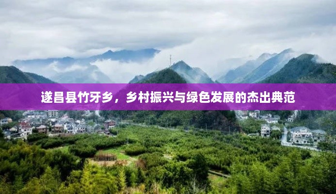 遂昌縣竹牙鄉(xiāng)，鄉(xiāng)村振興與綠色發(fā)展的杰出典范