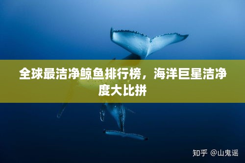 全球最潔凈鯨魚排行榜，海洋巨星潔凈度大比拼