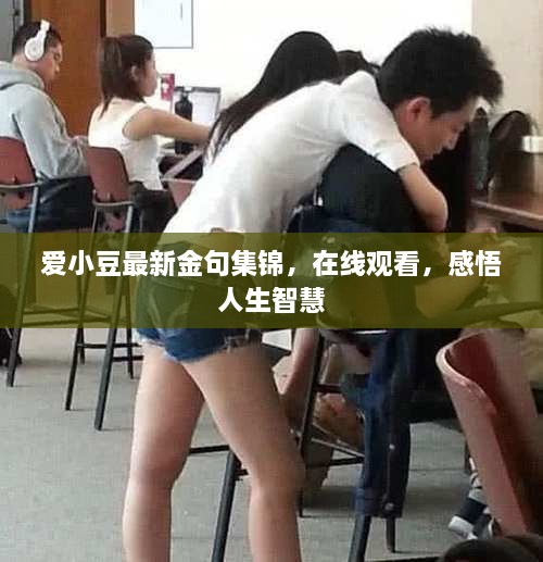 愛小豆最新金句集錦，在線觀看，感悟人生智慧