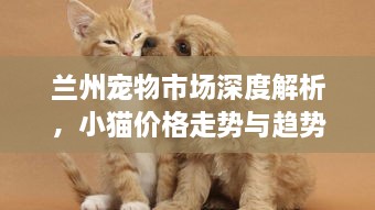 蘭州寵物市場(chǎng)深度解析，小貓價(jià)格走勢(shì)與趨勢(shì)探尋