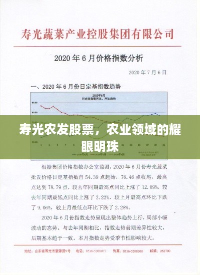 壽光農發(fā)股票，農業(yè)領域的耀眼明珠