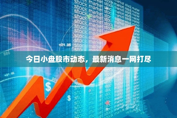 今日小盤股市動態(tài)，最新消息一網(wǎng)打盡