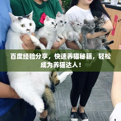 百度經(jīng)驗分享，快速養(yǎng)貓秘籍，輕松成為養(yǎng)貓達(dá)人！