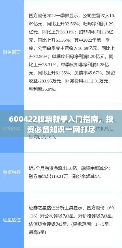 600422股票新手入門指南，投資必備知識(shí)一網(wǎng)打盡