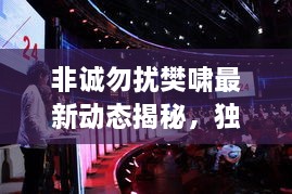 非誠勿擾樊嘯最新動(dòng)態(tài)揭秘，獨(dú)家爆料吸引眼球！
