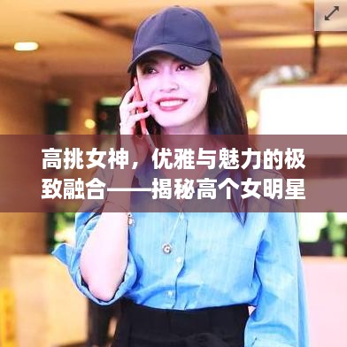高挑女神，優(yōu)雅與魅力的極致融合——揭秘高個(gè)女明星的魅力風(fēng)采